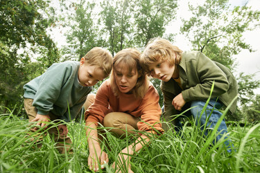 Similar image 22146945