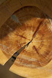 Similar image 22184495