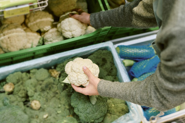 Similar image 22183065