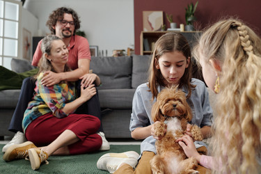 Similar image 22183456