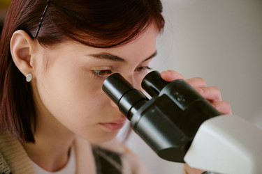 Similar image 22182769