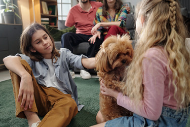 Similar image 22183454