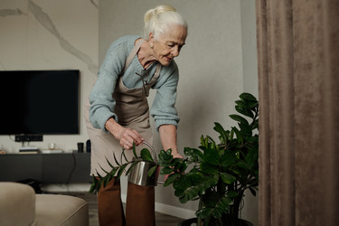 Similar image 22185137