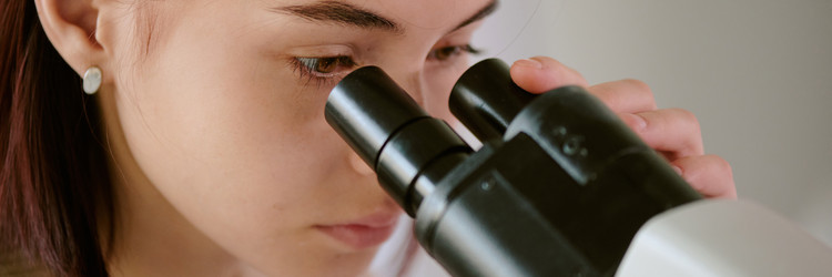 Similar image 22182744