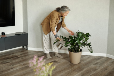 Similar image 22185253