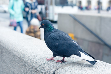 Similar image 22167248