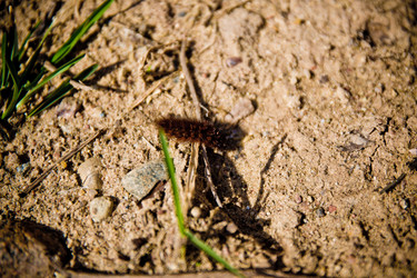 Similar image 22167272