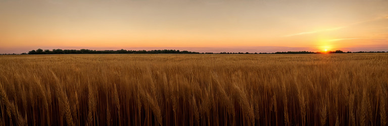 Similar image 22170925