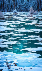 Similar image 22171748