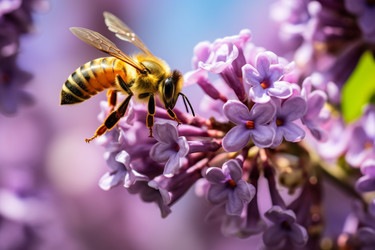 Similar image 22192827