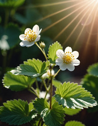 Similar image 22173090