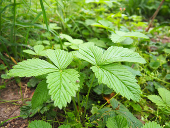 Similar image 22173503