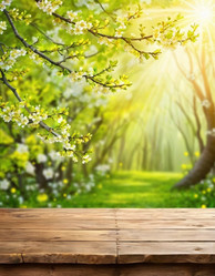 Similar image 22173622