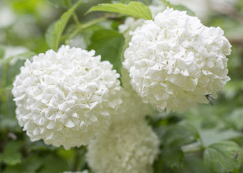 Similar image 22171119