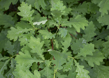 Similar image 22169346