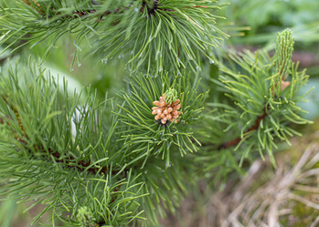 Similar image 22169347