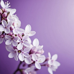 Similar image 22172800