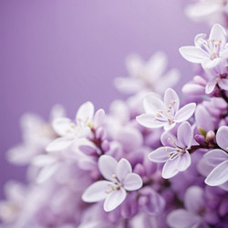 Similar image 22173096