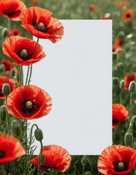 Similar image 22172811