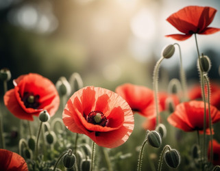 Similar image 22173351