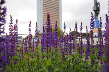 Similar image 22172667