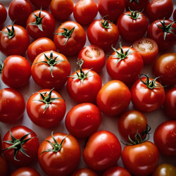 Similar image 22172832