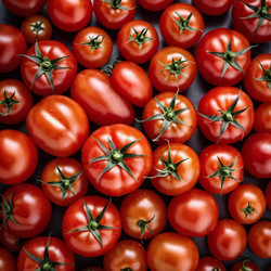 Similar image 22173363