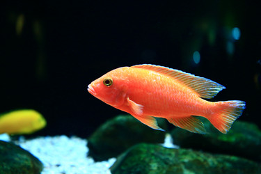 Similar image 22168697