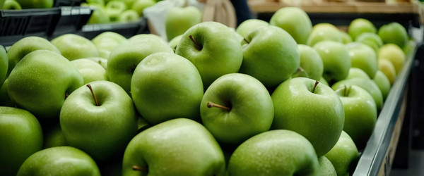 Similar image 22172684