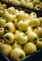 Similar image 22172881