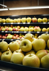 Similar image 22173154