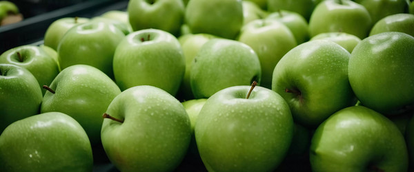 Similar image 22173155