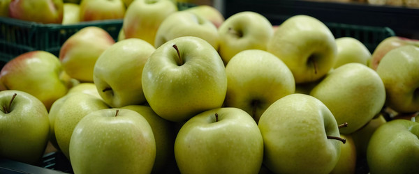 Similar image 22173534