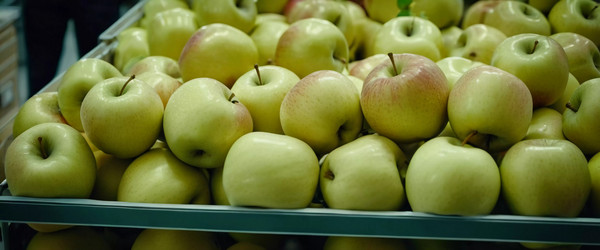 Similar image 22173727