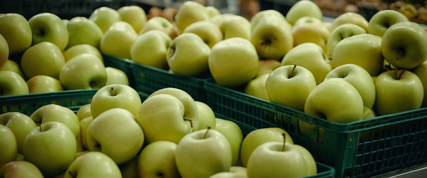 Similar image 22173728