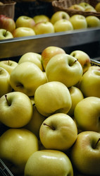 Similar image 22173729