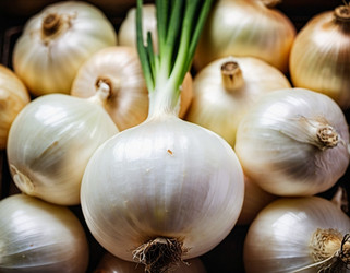 Similar image 22173535