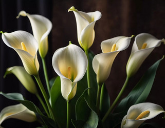 Similar image 22172687