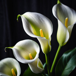 Similar image 22172887