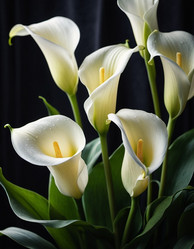 Similar image 22173161