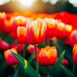 Similar image 22173547