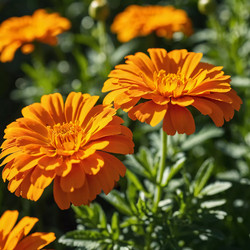 Similar image 22172920