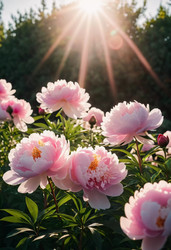 Similar image 22173180