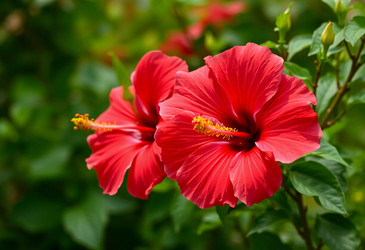 Similar image 22173181