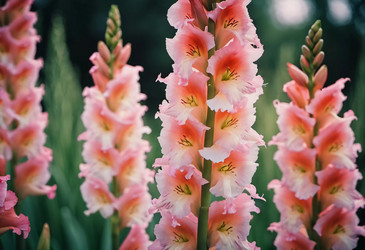 Similar image 22173183