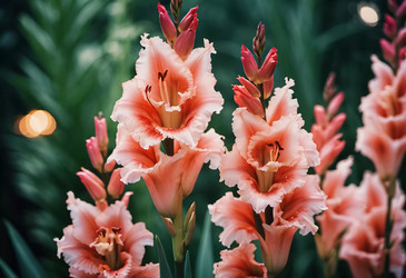 Similar image 22173551