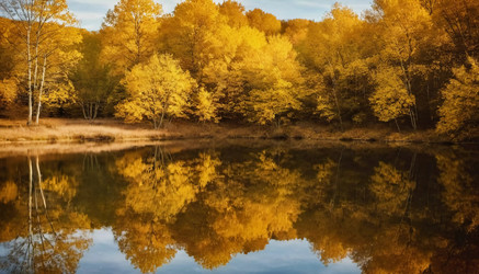 Similar image 22173185