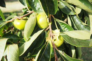 Similar image 22173423