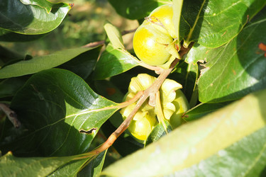 Similar image 22173568