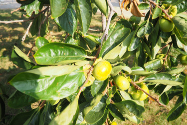 Similar image 22173780